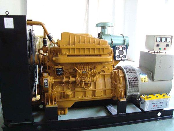 普兰有哪些有效的方法可以预防柴油发电机组的蓄电池出现硫化现象？